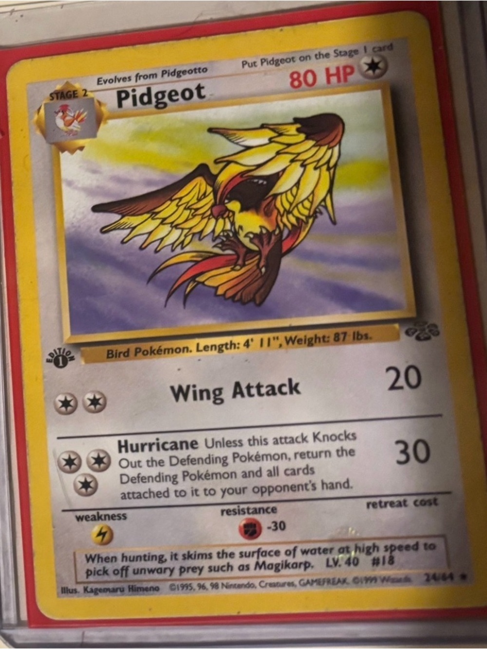 1st edition Pokemon Pidgeot Card - Yellow, Red, Brown Artwork